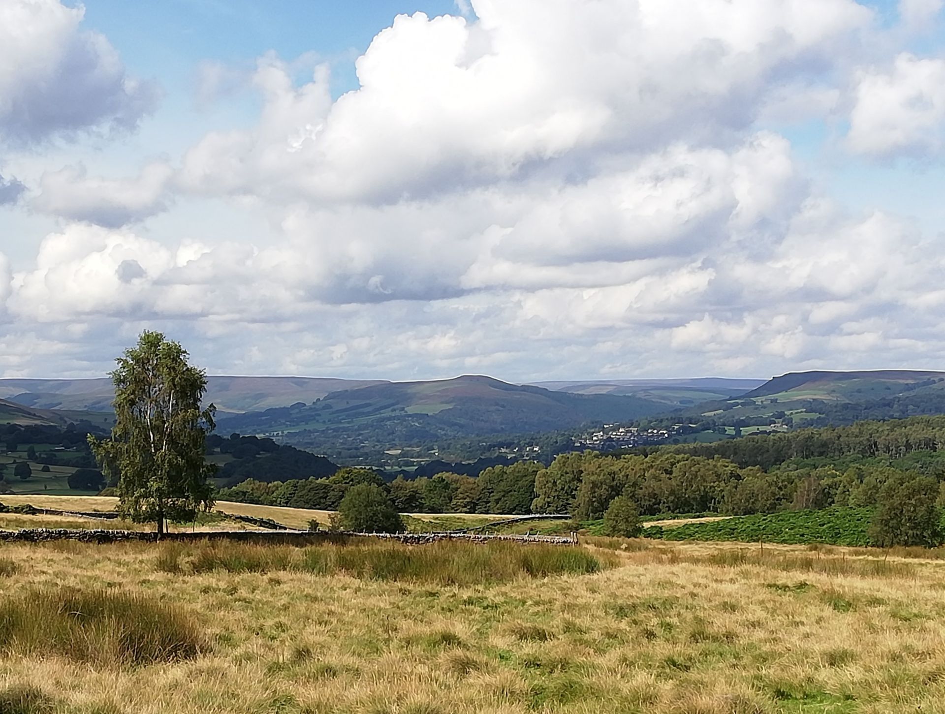 View of Longshaw Estate